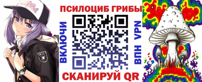 закладка  OMG ТОР  Галлюциногенные грибы Psilocybe  Кимры 