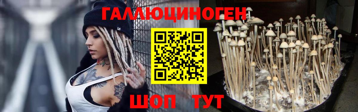 Кимры  Псилоцибиновые грибы MAGIC MUSHROOMS  Вход с VPN 