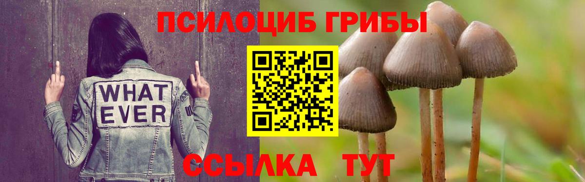 Галлюциногенные грибы ЛСД Кимры