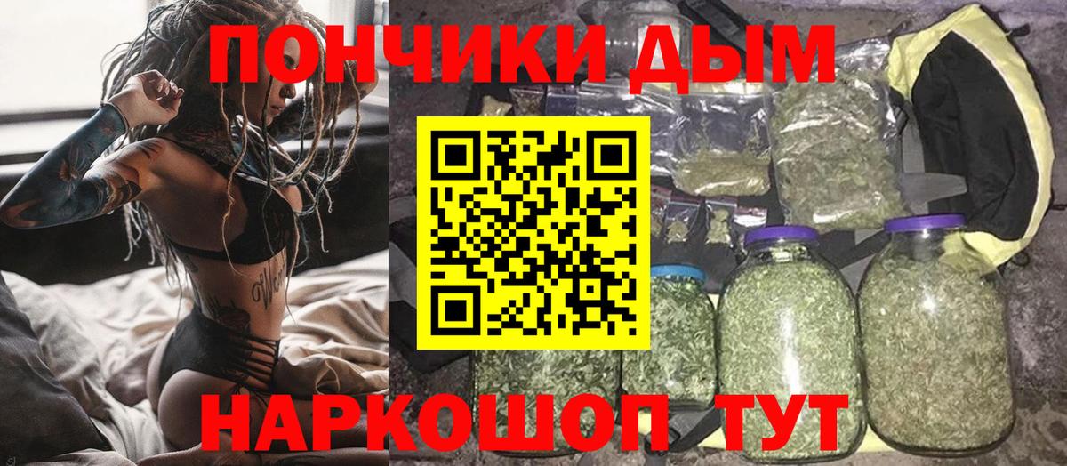 Бошки марихуана сатива Кимры